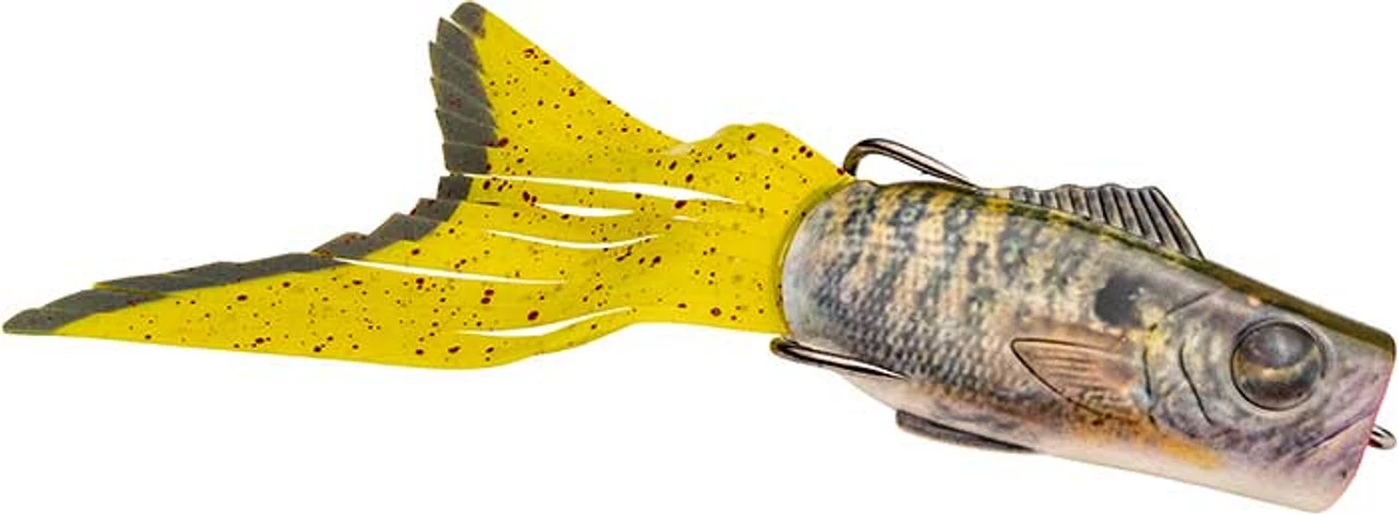 Strike King - KVD Pipsqueak Popping Perch - 5" 3 Strike King - KVD Pipsqueak Popping Perch - 5"