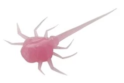 13 Fishing - Coconut Crab - Panfish Plastics -Ice Fishing Equipment Store CC BG 1 Z 64551.1604078623