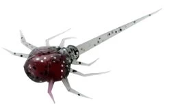 13 Fishing - Coconut Crab - Panfish Plastics -Ice Fishing Equipment Store CC CB 1 Z 11786.1604078623