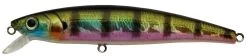 Challenger Junior Minnow - 3 1/2in - 5/16oz -Ice Fishing Equipment Store JL120 630V 7666528 14044.1553271222