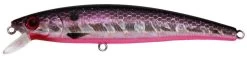 Challenger Junior Minnow - 3 1/2in - 5/16oz -Ice Fishing Equipment Store JL120 720 7666011 26976.1553271222