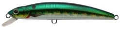 Challenger Magnum Minnow 6 1/2in, 5 Colors -Ice Fishing Equipment Store MG004 DCNB 7666251 19038.1553277881