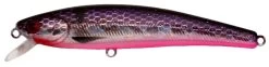 Challenger TS Minnow - 3" -Ice Fishing Equipment Store MS 001 720 7666505 19171.1553281535